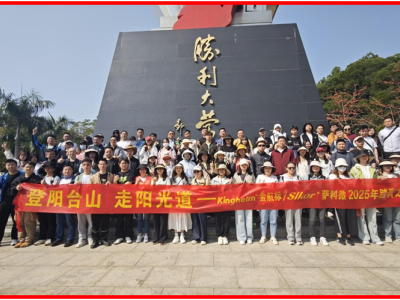 6387855843776435212619295